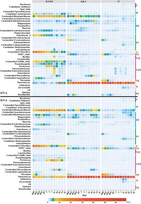 Terrigenous particles regulate autotrophic and heterotrophic microbial assembly and induce humic-like FDOM accumulation in seawater